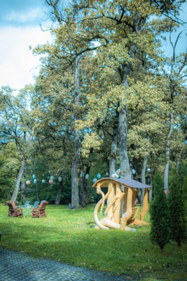 Hunter Vip Villa Reghin Bagian luar foto