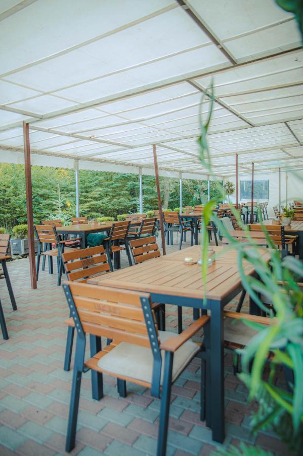 Hunter Vip Villa Reghin Bagian luar foto