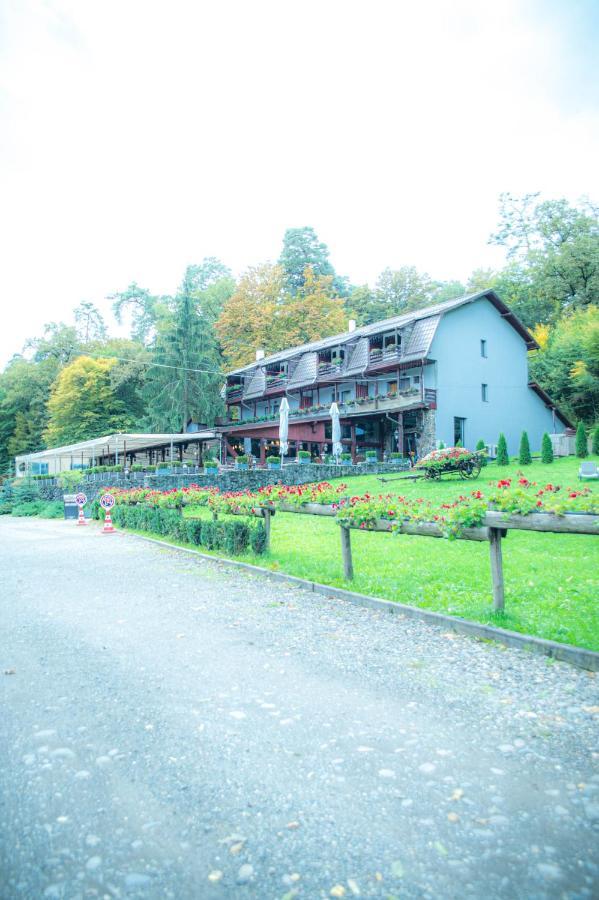 Hunter Vip Villa Reghin Bagian luar foto
