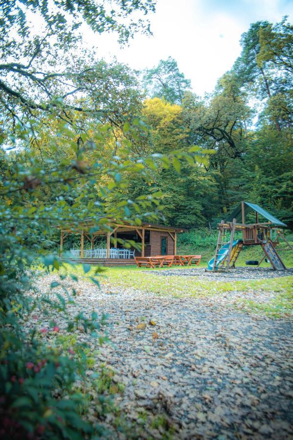 Hunter Vip Villa Reghin Bagian luar foto