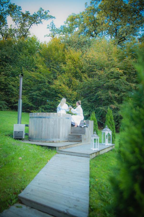 Hunter Vip Villa Reghin Bagian luar foto